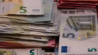 南联SEO按天付费模式解析，灵活投入与精准获客的全新解决方案，南联seo按天付费多少钱