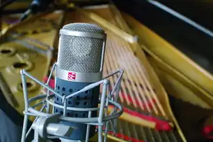 数字化浪潮下的基础设施革命，解析专业服务器租赁企业的价值重构与未来图景，租用服务器的公司叫什么