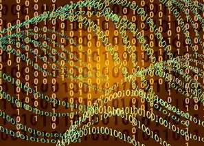 数字时代的视觉革命，从Flash网站到Web3.0的交互进化史，FLASH网站是什么意思