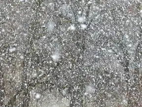 云桌面管理平台软件下载全指南，解锁企业数字化转型的智能钥匙，云桌面管理系统