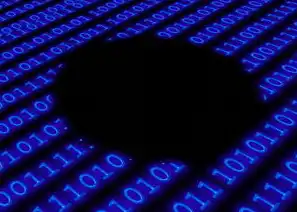 Linux服务器数据盘全流程解析，从物理安装到智能运维的进阶指南，linux数据盘挂载步骤的详细说明