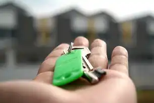 海南自贸港企业如何通过SEO外包实现精准获客，本地化运营策略与数字化营销全解析，海南seo技术