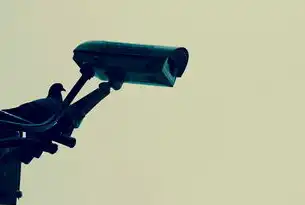 监控告警录像与全天录像，功能差异与应用场景解析，监控告警录像和全天录像的区别是什么