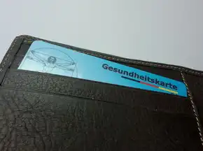 服务器在美国法律框架下的合规运营与风险管控策略，跨国企业数据治理的实践路径，服务器在美国法律中的意义