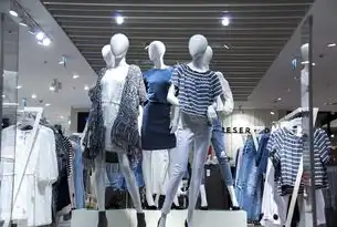 品牌服装网站源码开发全解析，从架构设计到功能落地的技术实践，品牌服装网站源码大全
