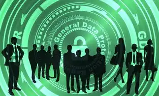 全球人工智能隐私保护法律框架的演进与挑战，从GDPR到中国个人信息保护法，人工智能保护隐私的典型法律案例