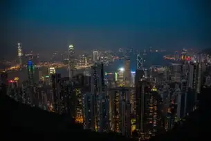 双城数据枢纽，新加坡与香港服务器部署的差异化优势与行业实践解析，新加坡和香港服务器哪个好