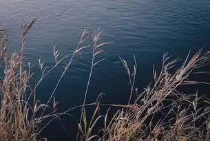 数据湖AI，重构数字时代的智能决策新范式，什么是数据湖