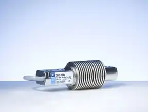 国产负载均衡器技术突破与市场格局，2023十大品牌深度解析与行业趋势前瞻，负载均衡器品牌