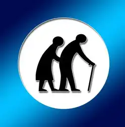 广州SEO公司全解析，本地化数字营销如何助力企业突破流量瓶颈，广州排前三的seo公司