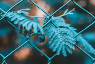 SEO优化进阶指南，深度解析如何打造高转化率的搜索时代网站，seo好找工作吗