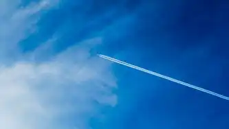 混合云与多云，企业数字化转型的双引擎驱动—架构演进、实践路径与未来趋势解析，混合云是指