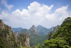 数字赋能山水诗画，黄山旅游官方网站的生态价值与智慧服务创新实践，谁有黄山网站