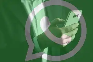 混合云，数字时代企业转型的战略支点与场景实践，混合云的应用有哪些软件