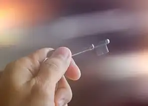 指尖守护者，数字时代生物识别安全锁的进化密码，指尖应用安全锁怎样破解密码呢