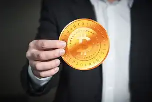SEO点击费用背后的商业逻辑与优化策略，深度解析流量获取成本控制方法论，seo点击收费