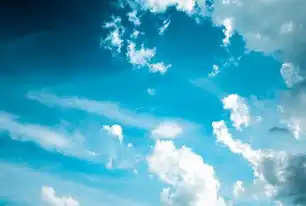 混合云架构，驱动企业数字化转型的多维度应用实践，混合云的应用有哪些方面的特点