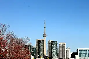 西安市SEO优化全攻略，从流量密码到本地品牌突围的实战指南，西安市森林警察支队