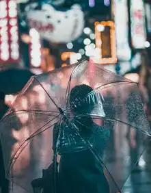 自动伸缩伞杆卡滞应急处理全攻略，从机械原理到专业维修的深度解析，自动伸缩伞杆收不回去了