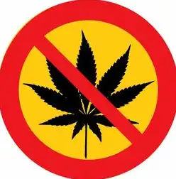 SEO优化必知的12项核心注意事项，从技术细节到内容策略的全链路解析，seo要点