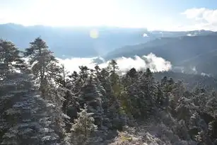 林芝，雪域江南的诗意栖居与文明交融，林芝重点关注区域