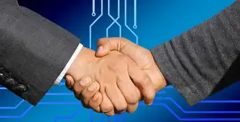 构建未来数字界面，自适应网站源码开发全解析与美学实践指南，自适应网站制作