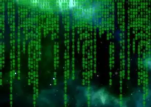 ASP技术安全视角下的非法代码窃取行为解析与防御体系构建，盗网站源码软件