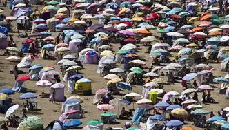 银发经济蓝海，养老产业8大创新赛道与实战策略，2025最建议做的生意