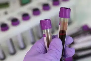 可持续集成测试，重构软件工程生态的绿色基因工程，可持续平台