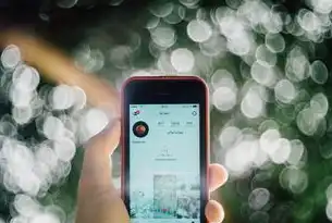 iOS隐私权限体系解构，苹果封闭生态下的用户控制权博弈，苹果手机隐私里没有管理权限怎么办