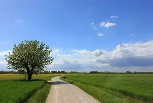 Windows远程桌面服务到期，企业安全与效率的双重挑战与应对策略，winserver远程桌面过期