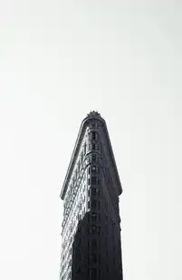 深圳品牌网站建设，数字时代下的品牌战略升级指南，深圳品牌网站建设公司排名