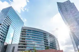 乐山SEO公司精选指南，揭秘本地10大火星服务商的数字化突围之道，乐山火星人集成灶专卖店地址