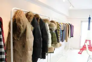 数字时尚革命，智能算法驱动的个性化服装购物平台创新实践，服装网站模板