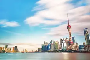 数字化转型新标杆，上海市大数据中心官网功能解析与未来展望，上海市大数据中心官网电话