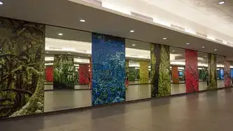 徽韵智联，素璧庭（安徽）智慧城市运营管理有限公司的数字化转型实践与区域发展新范式，素璧的意思