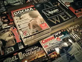Introduction:The Digital Evolution of News Media，英文新闻网站源码有哪些