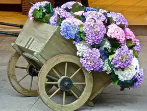生鲜电商技术架构深度解析，鲜花购物平台源码开发实战指南，鲜花购物网站源码大全