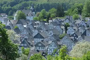 中山市石特社区，工业遗韵与现代活力交织的城乡融合样本，中山市石特社区电话号码