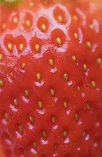 红色餐饮网站源码，数字化时代的红色文化传承与创新实践，红色餐饮logo