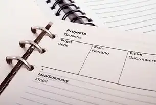 SEO重构软件行业生态，从流量密码到商业增长引擎的深度解析，seo技术软件