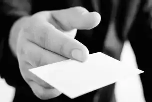 SEO全解析，数字时代企业获客的隐形翅膀与实战指南，seo是什么?