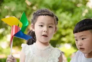 阿里云服务器IIS端口安全配置与性能优化全指南，从基础到高阶的实战解析，阿里云服务器 iis 端口号是多少
