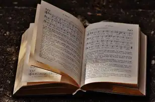 数字时代关键词分类体系解析，九大维度构建精准内容矩阵，关键词分为几种