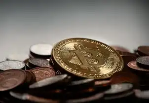 虚拟化技术，从理论到实践的全流程指南—企业级部署与性能优化的课后答案，虚拟化技术应用与实践课后答案解析