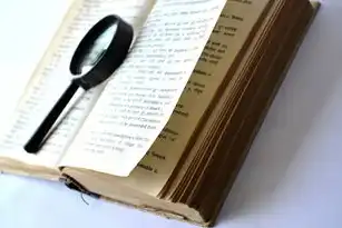 灾难恢复等级划分，从基础到企业级的多维度解析，灾难恢复等级划分