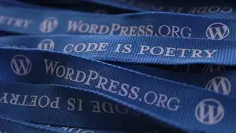 2023 WordPress SEO代码优化全攻略，从标题标签到移动端适配的12个核心技术，wordpress code