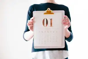 SEO网站排名查询全解析，如何精准定位并优化搜索引擎表现？seo排名查询工具