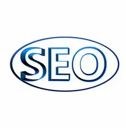 青海电子商务SEO优化策略，高原特色电商的突围之路与实战指南，青海电子商务有限公司