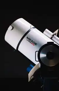 11维度解构2023服务器选型指南，从需求洞察到运维优化的完整决策链，苹果11的服务器